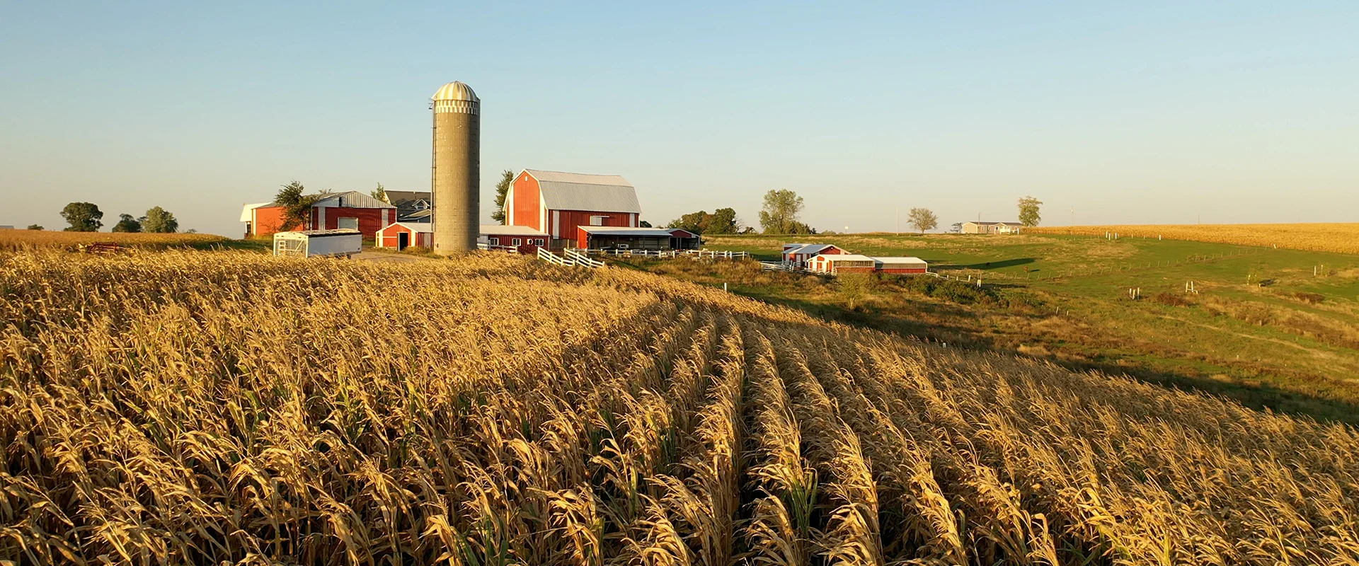 A farm in Iowa